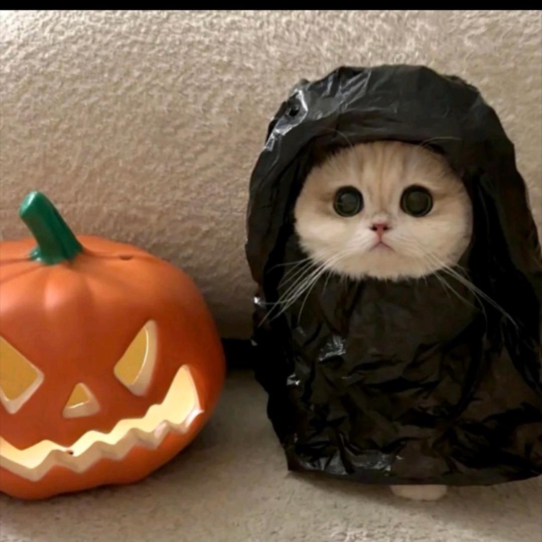 花生酱又怎么了