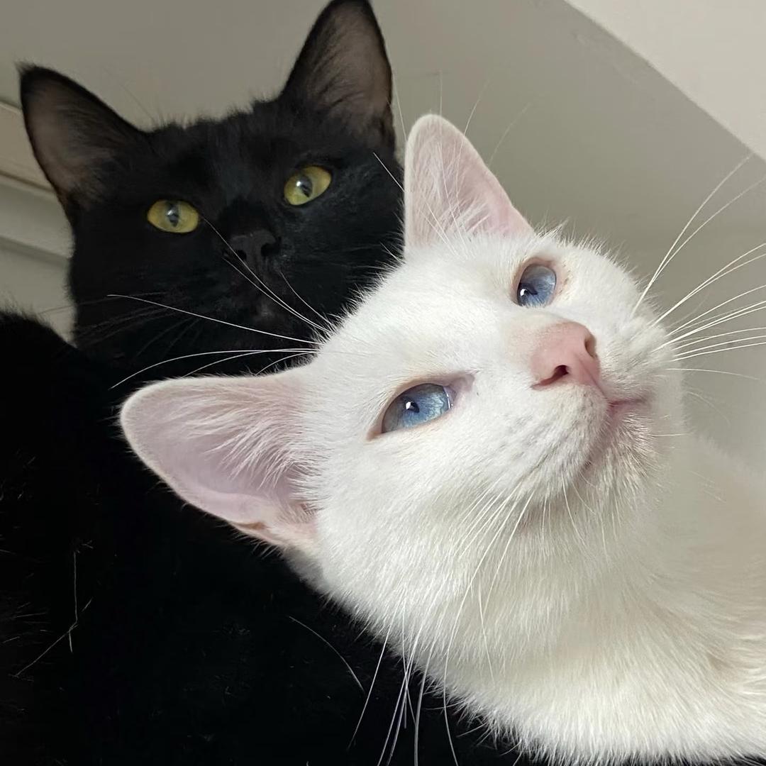 ￴￴ ￴￴ ￴ ￴ 小杨婚礼 化妆跟拍