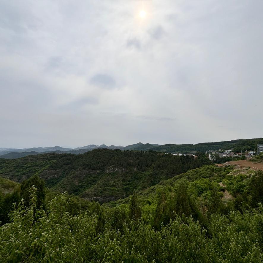 山东一加一文化艺术发展有限公司