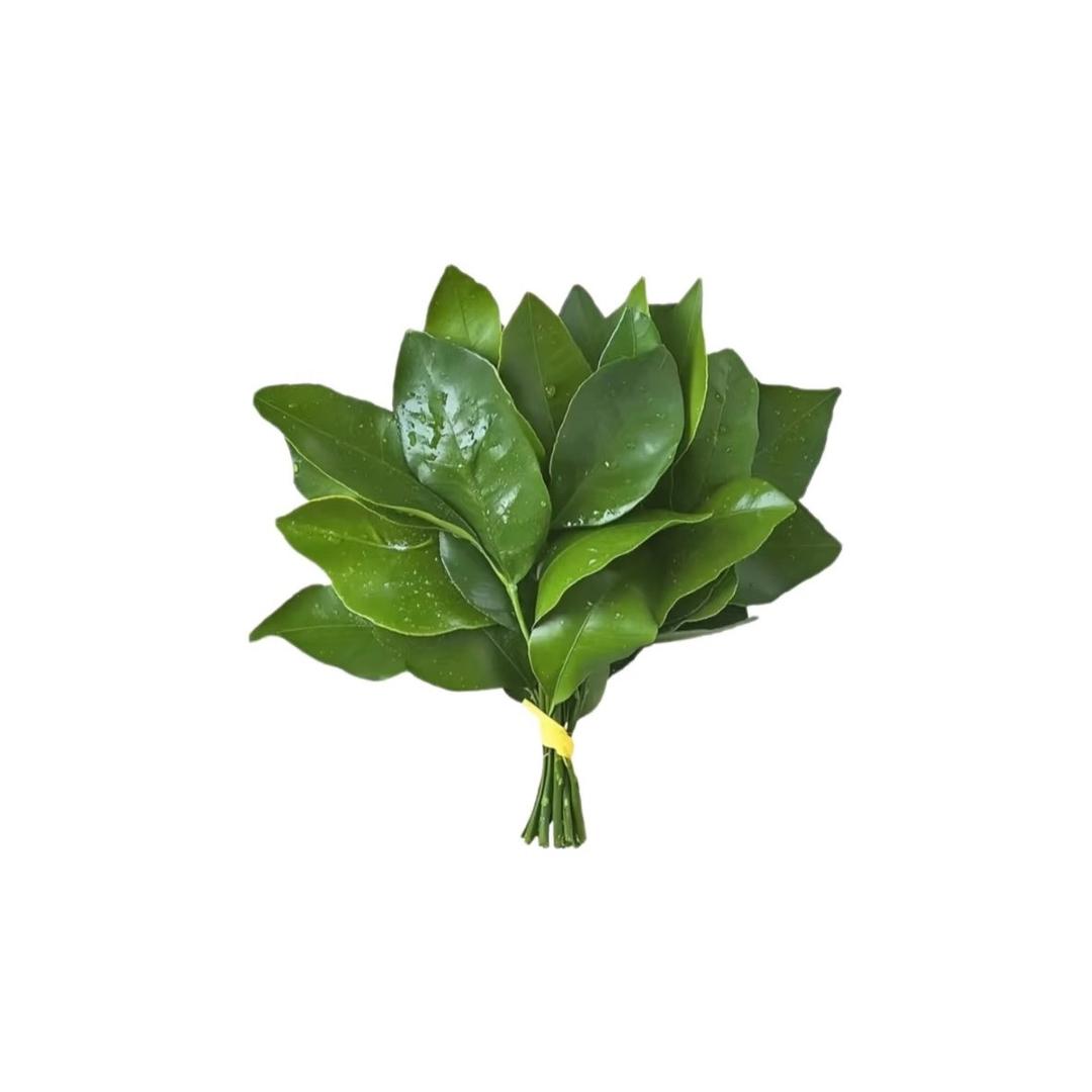 你的詹