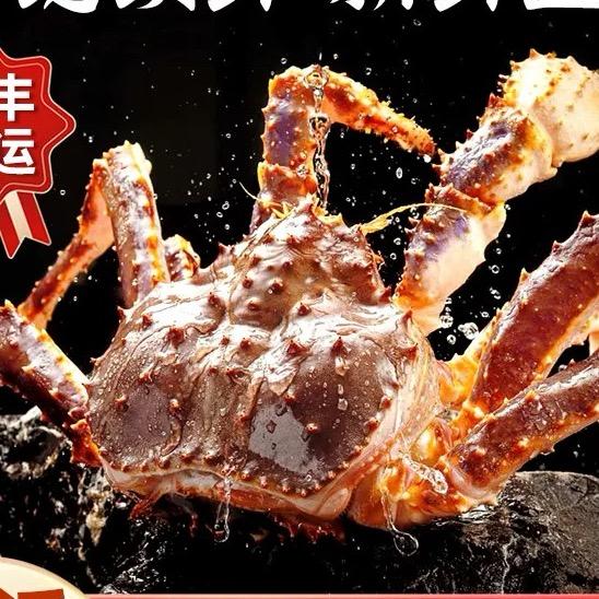 帝王蟹波龙面包蟹进口海鲜