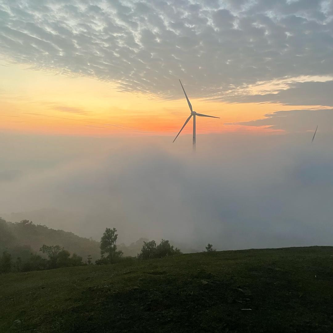 伤尽天下女人心