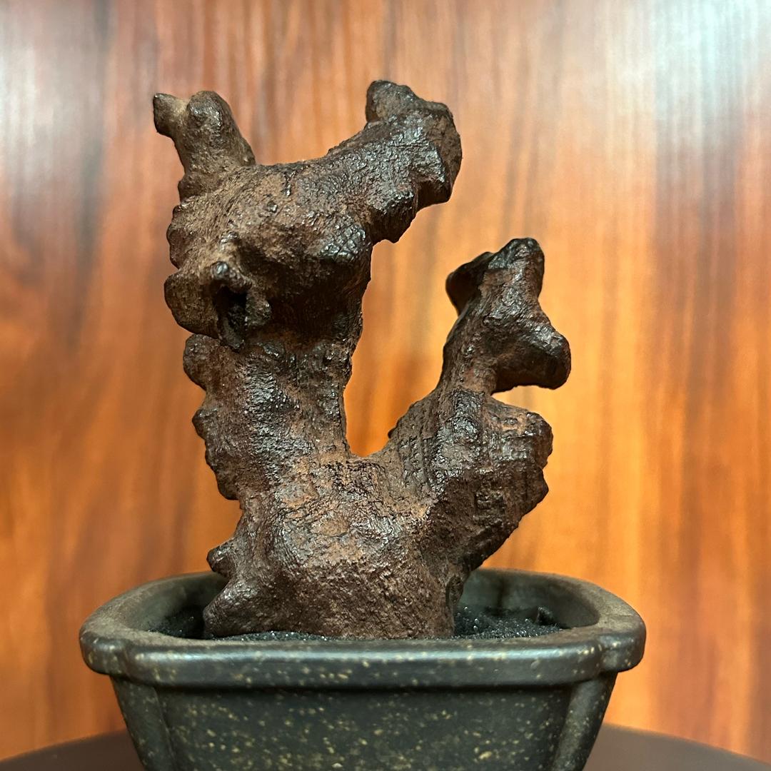 海南花梨公 小羊