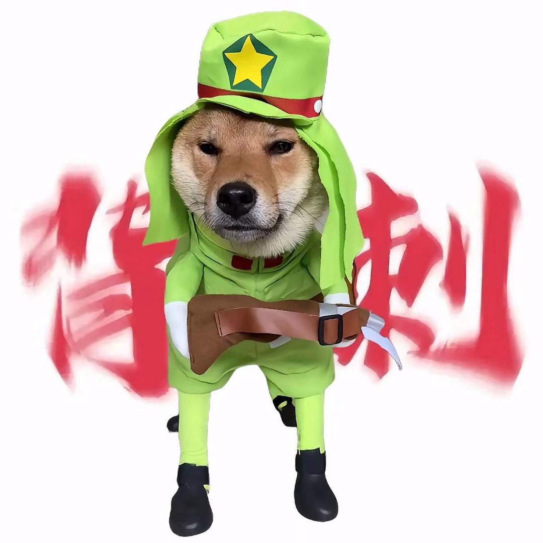 无敌小美！