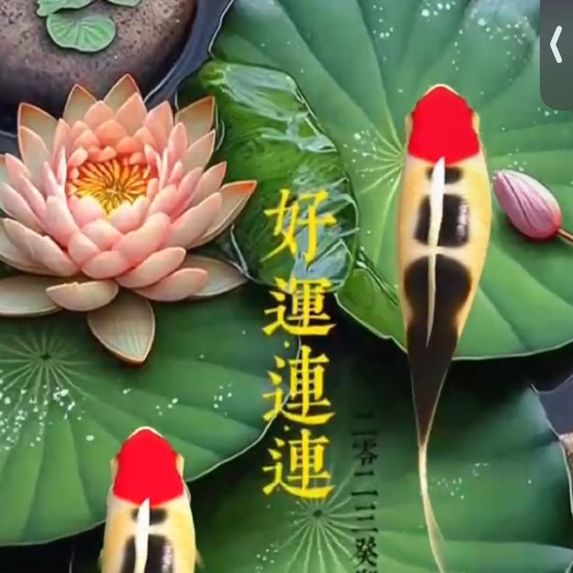 手机用户9378172429