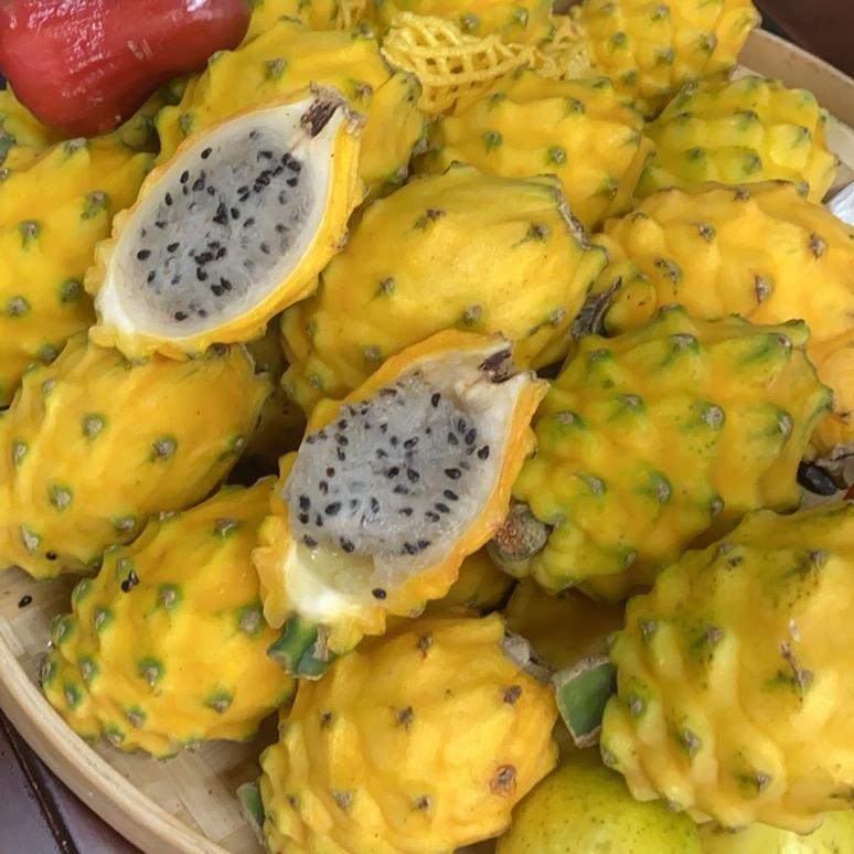 海南热带水果的(粵月)