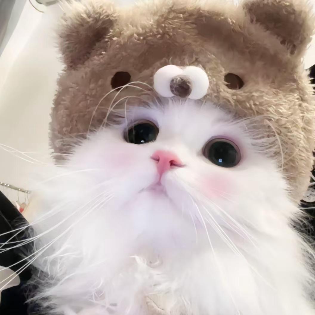 做我的猫