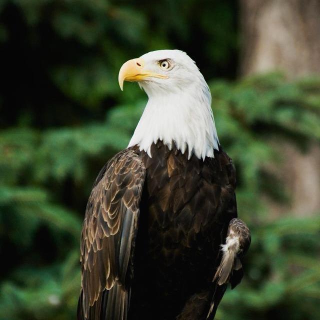 佛山晟金畔赋能