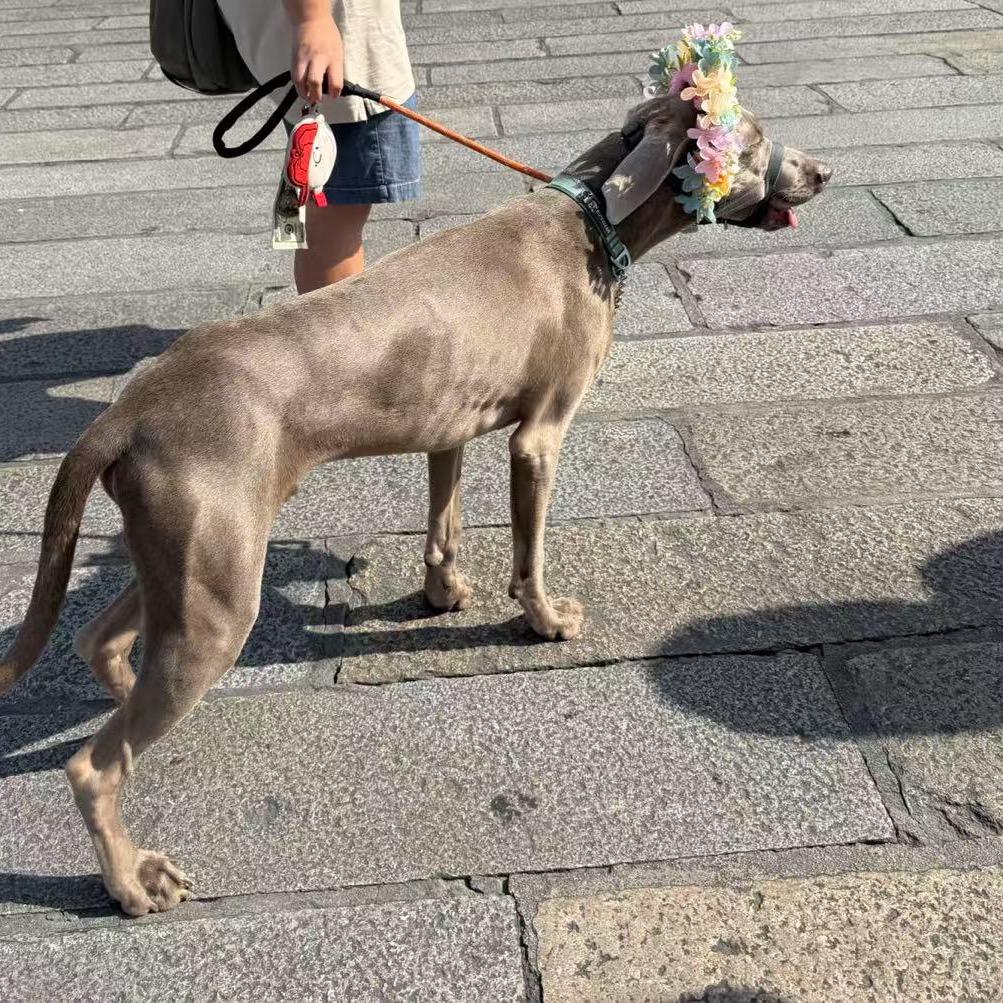 ❤️❤️🌙🌙🌙