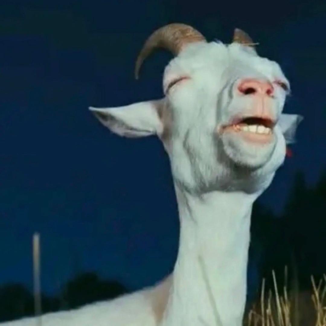 __、奔雷手 文泰来