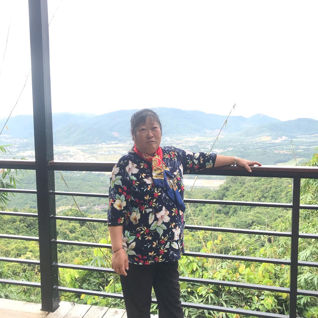 张七凤
