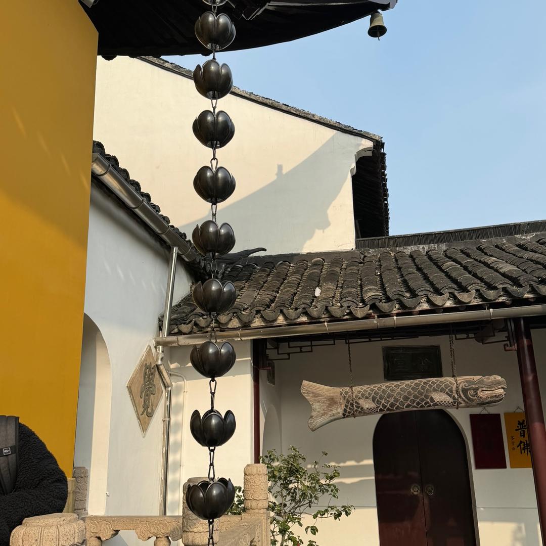 从你的全世界路过