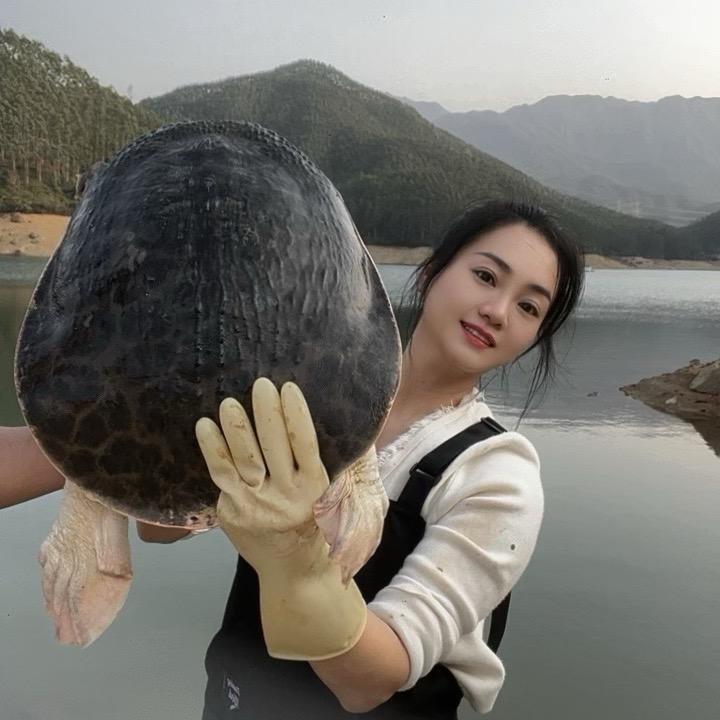 琼妹水产 水库甲鱼