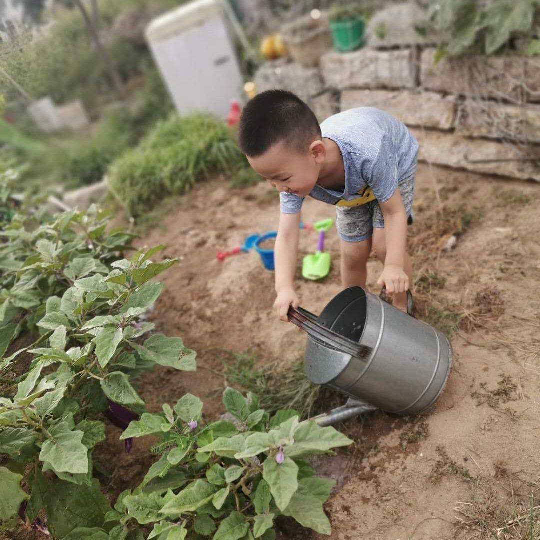 翔翔成长记