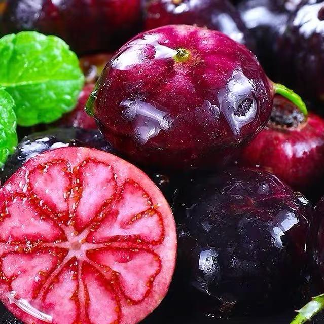 脆甜高原红果参