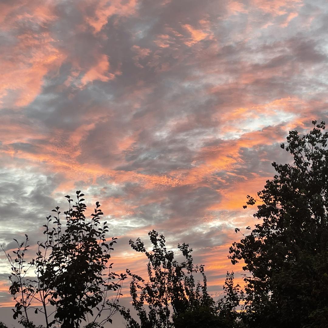 同润易堂信息咨询