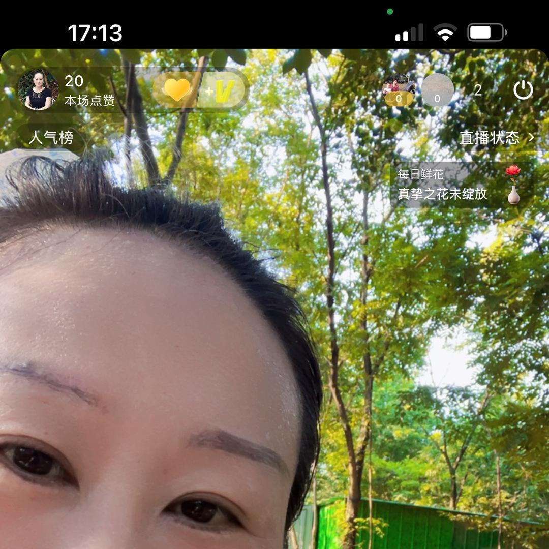 小麦田（跑山鸡）