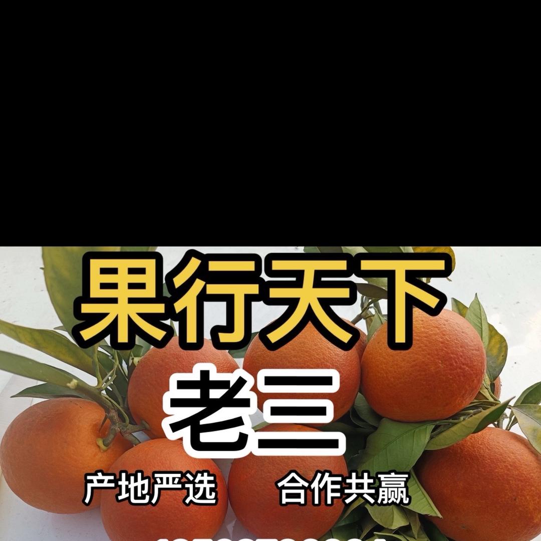 老三 产地严选