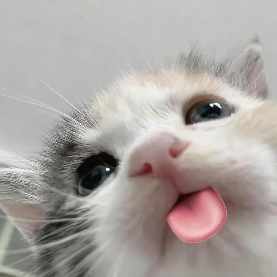 坨