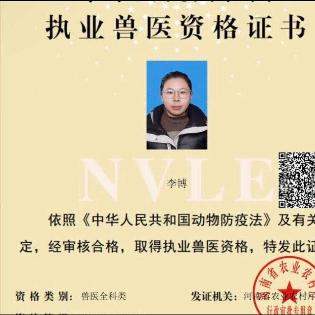 兽医李老师