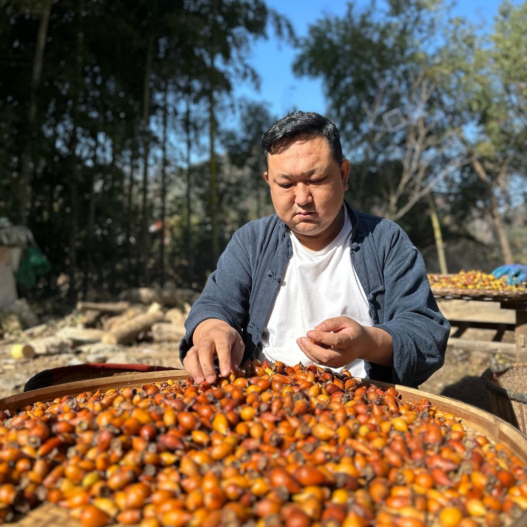 八零锅子·跑山货