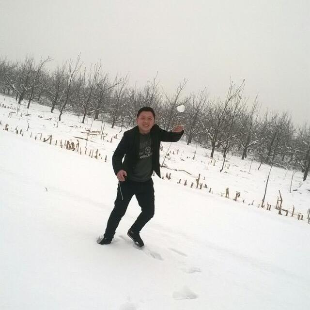 顺平老表