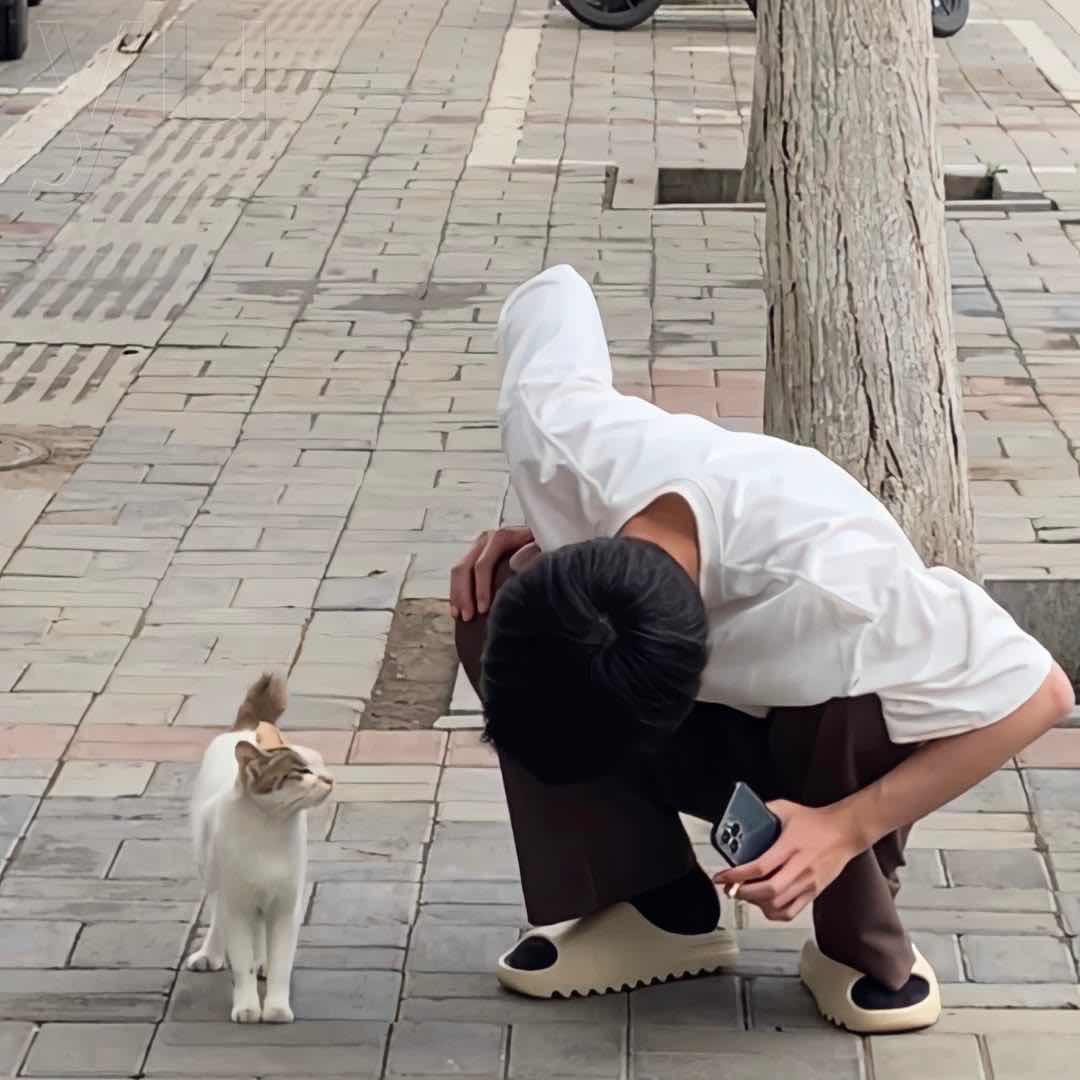 乌七七