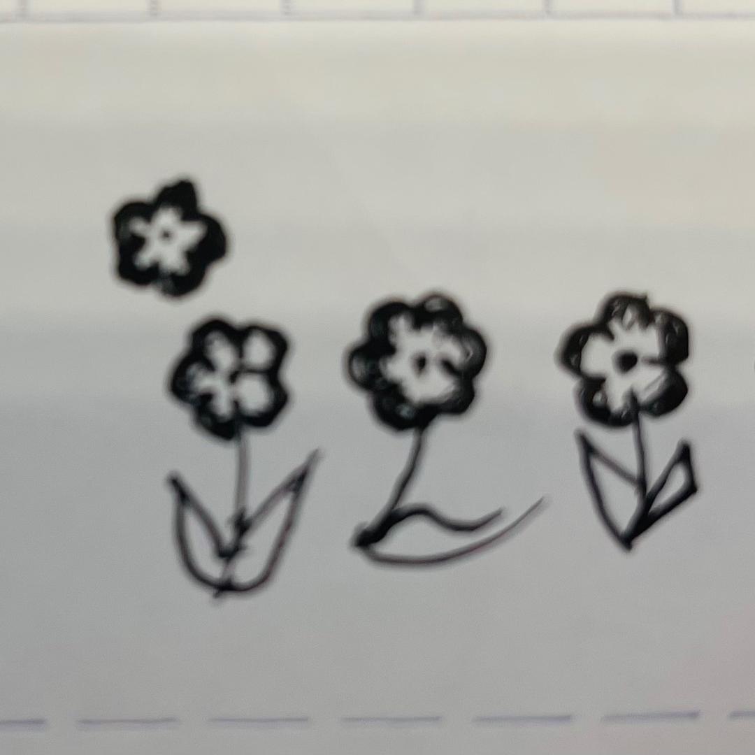 སྐར་མ།