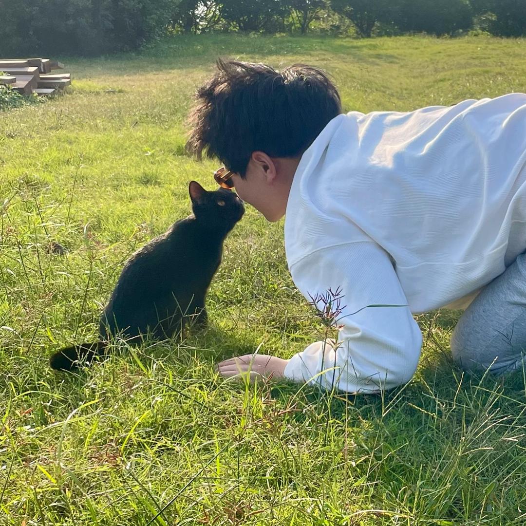 平安是福，果色添香