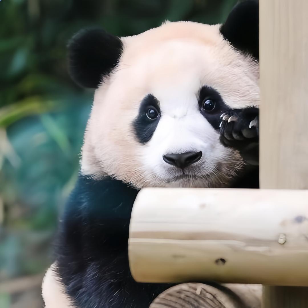 求求