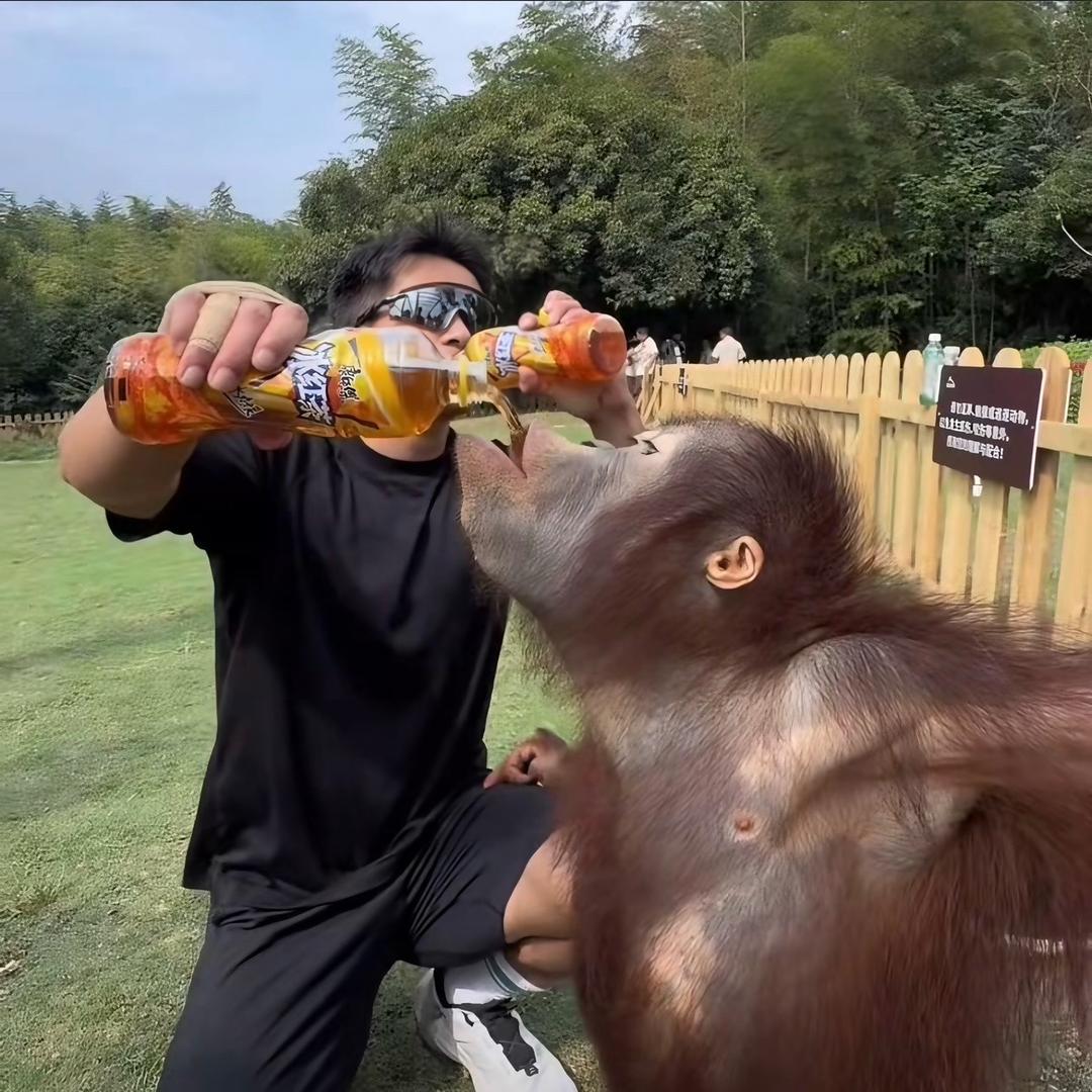 我热烈的马🐴