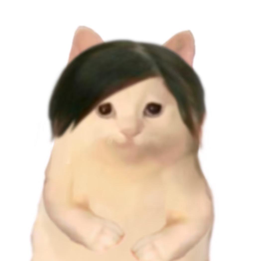 .ll
