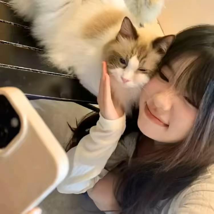 恋.