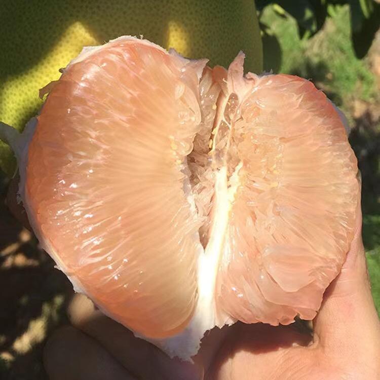 小陈水果优选