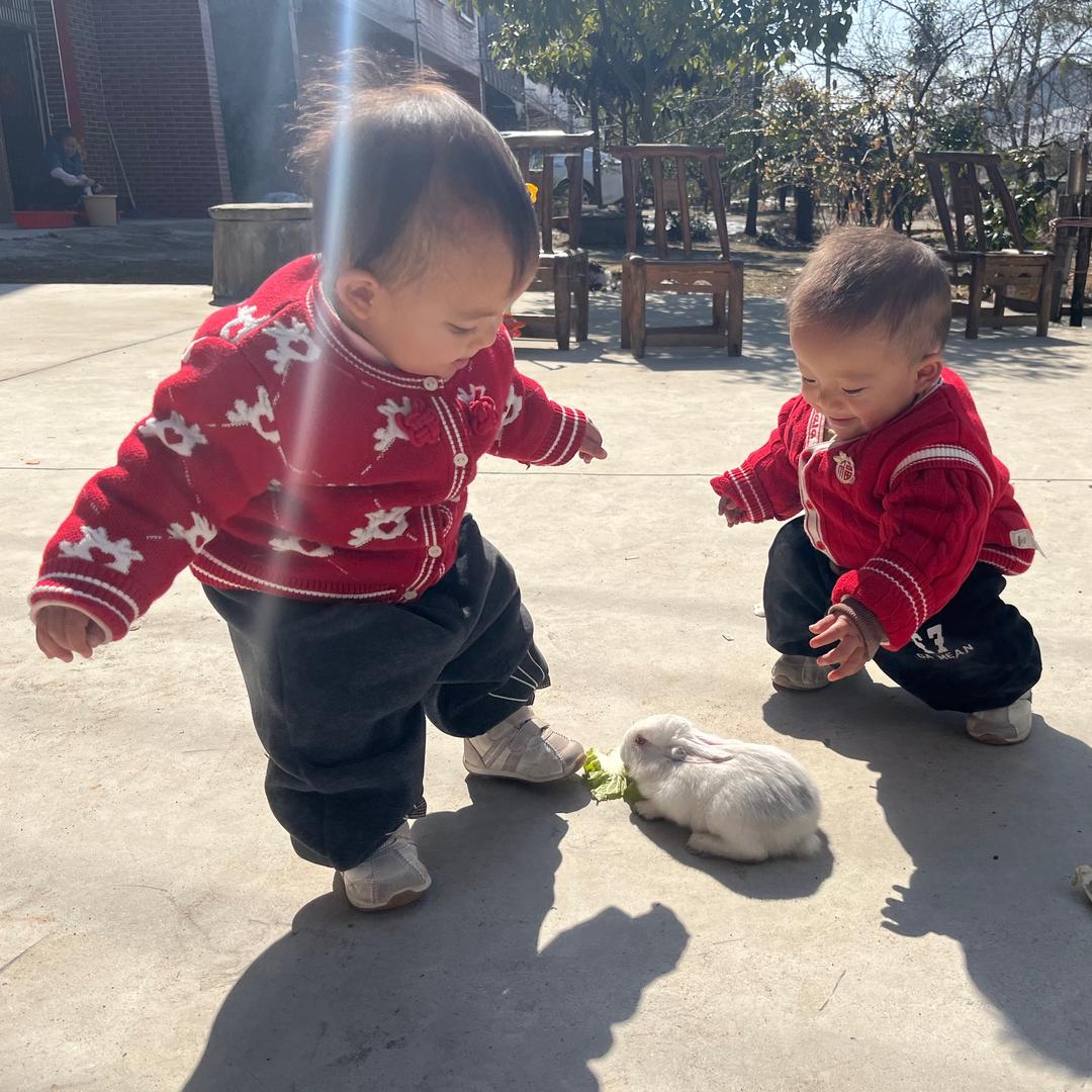 坚果麻麻(龙凤胎)