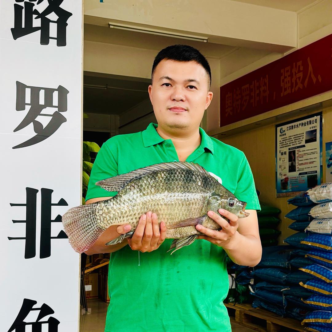 罗非鱼三哥