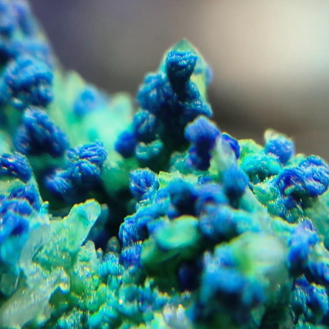 五彩缤纷小石界