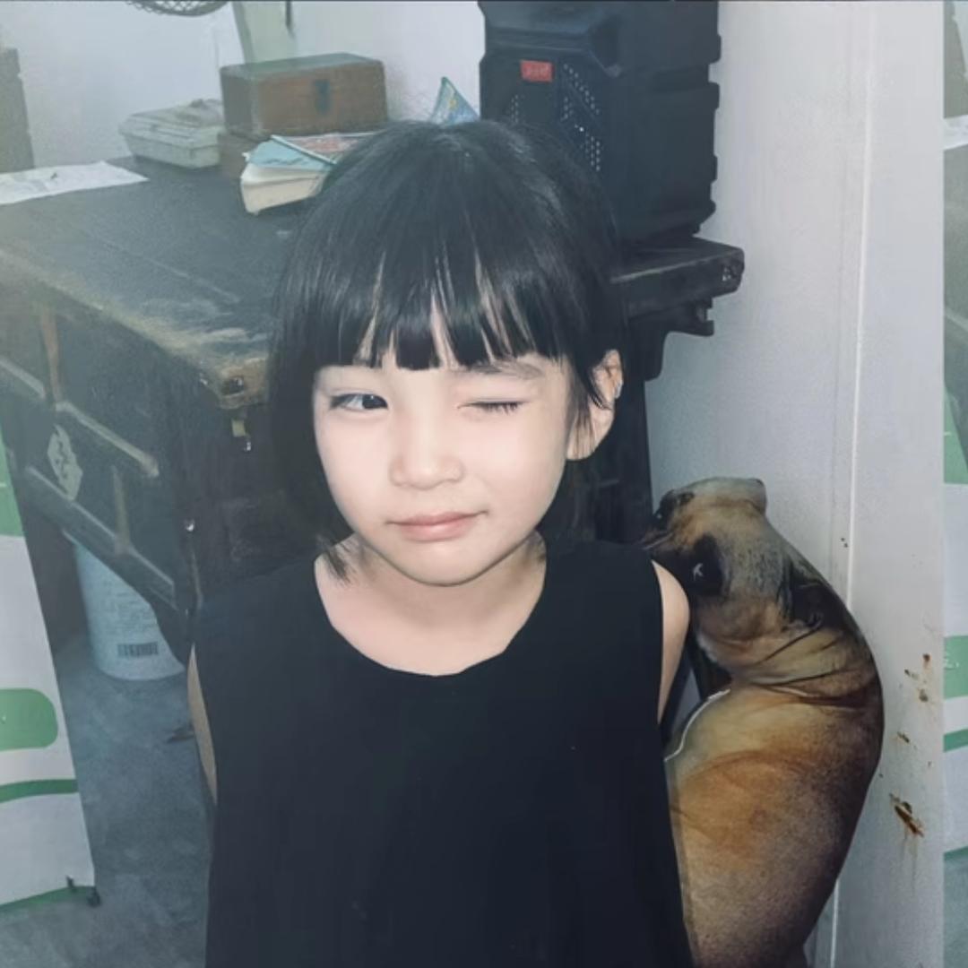 张困困
