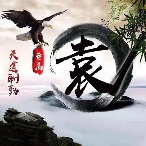 猎鹰