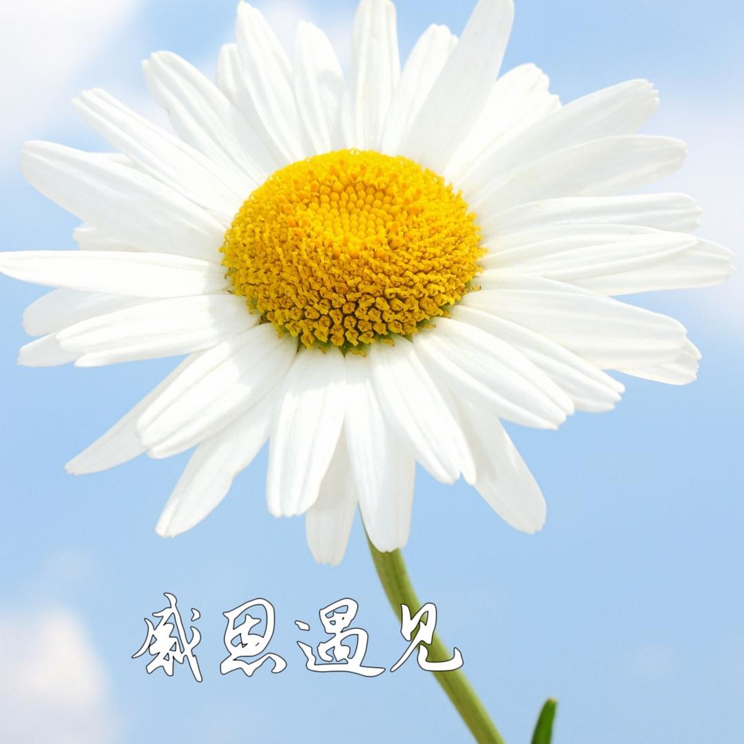 鑫鑫优选