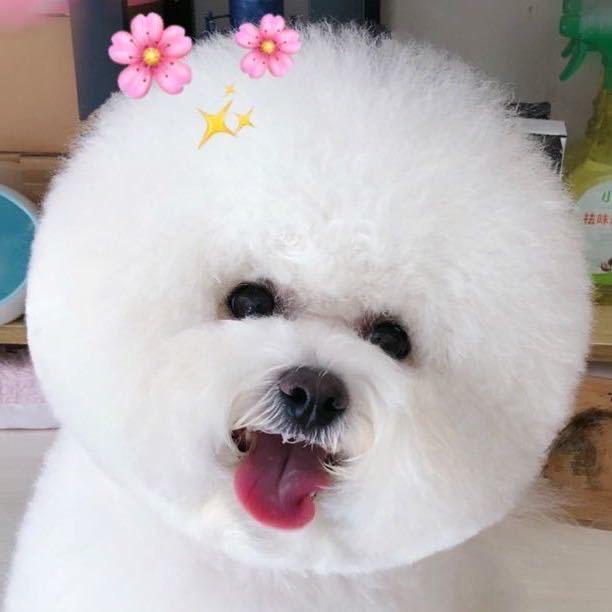 给我画只大灰狼