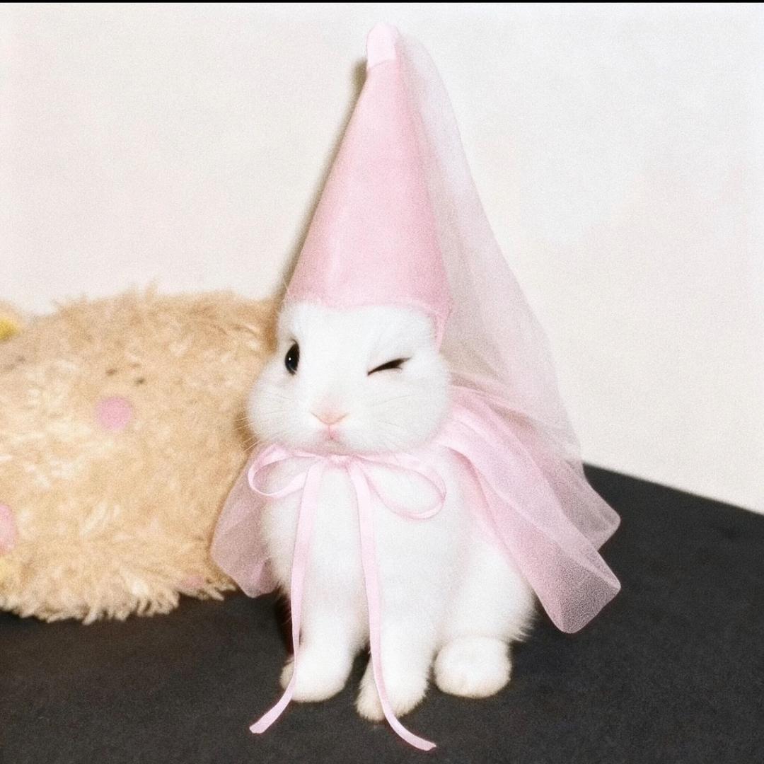 今天你開心了嗎？