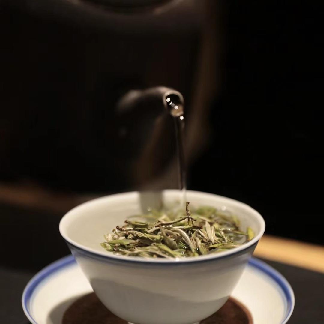 悠闲自在8899