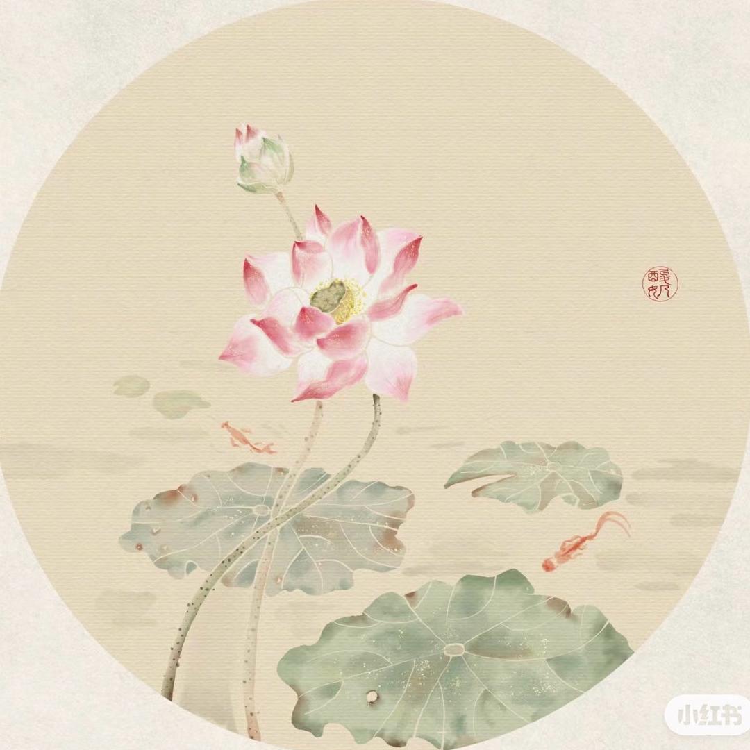 不吃香菜·