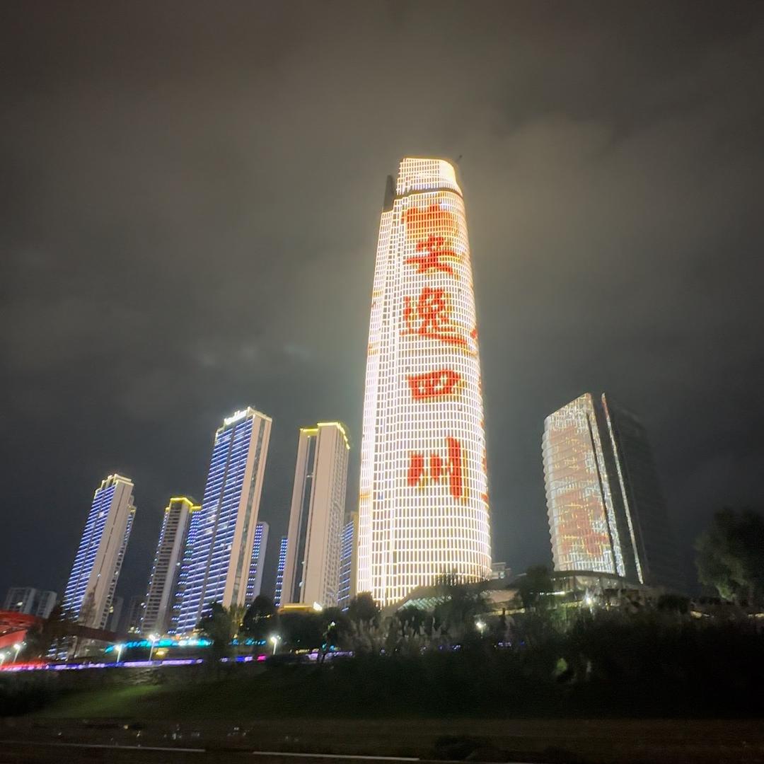 陈导