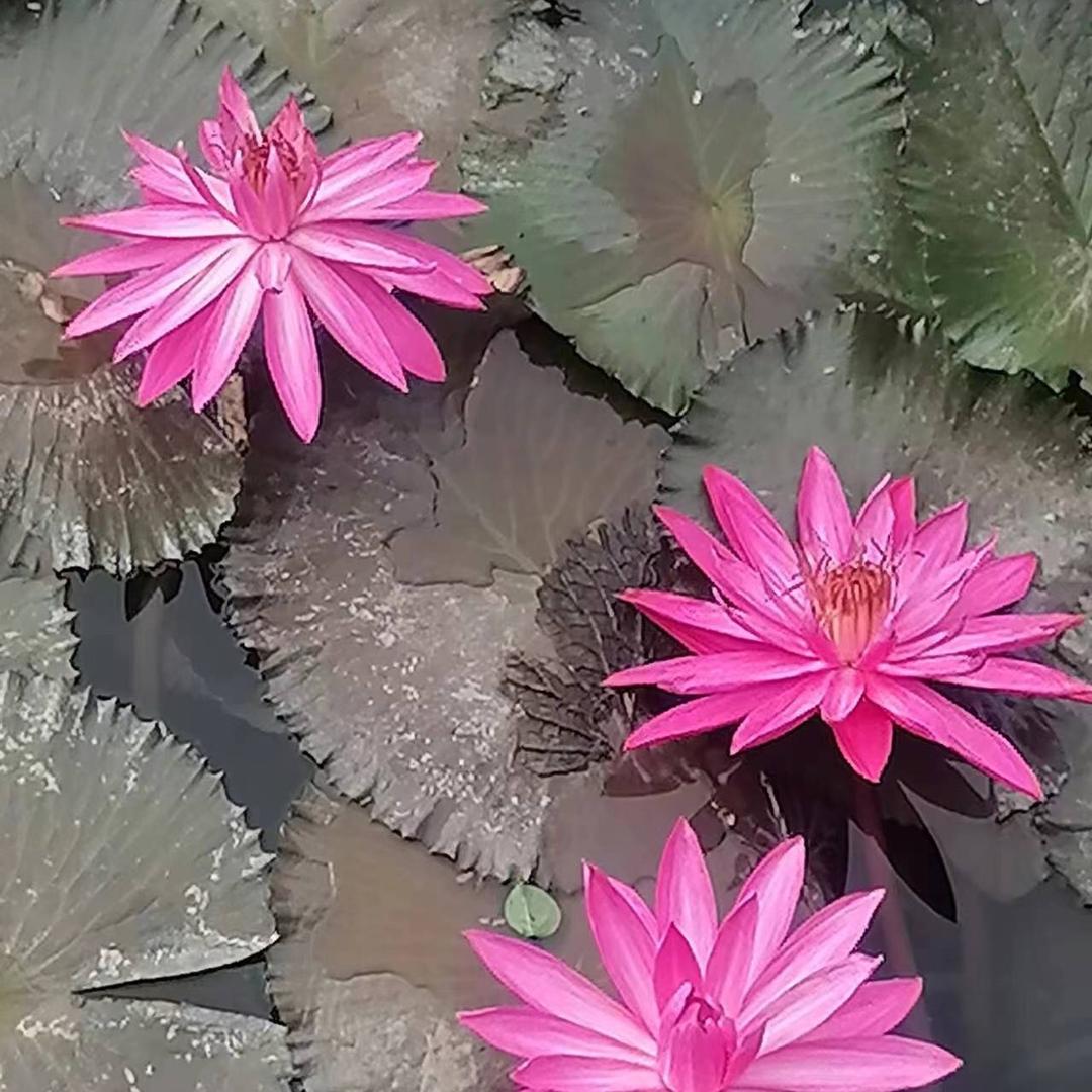 潘姐