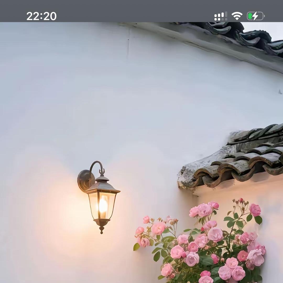 邓州市阳峰副食店