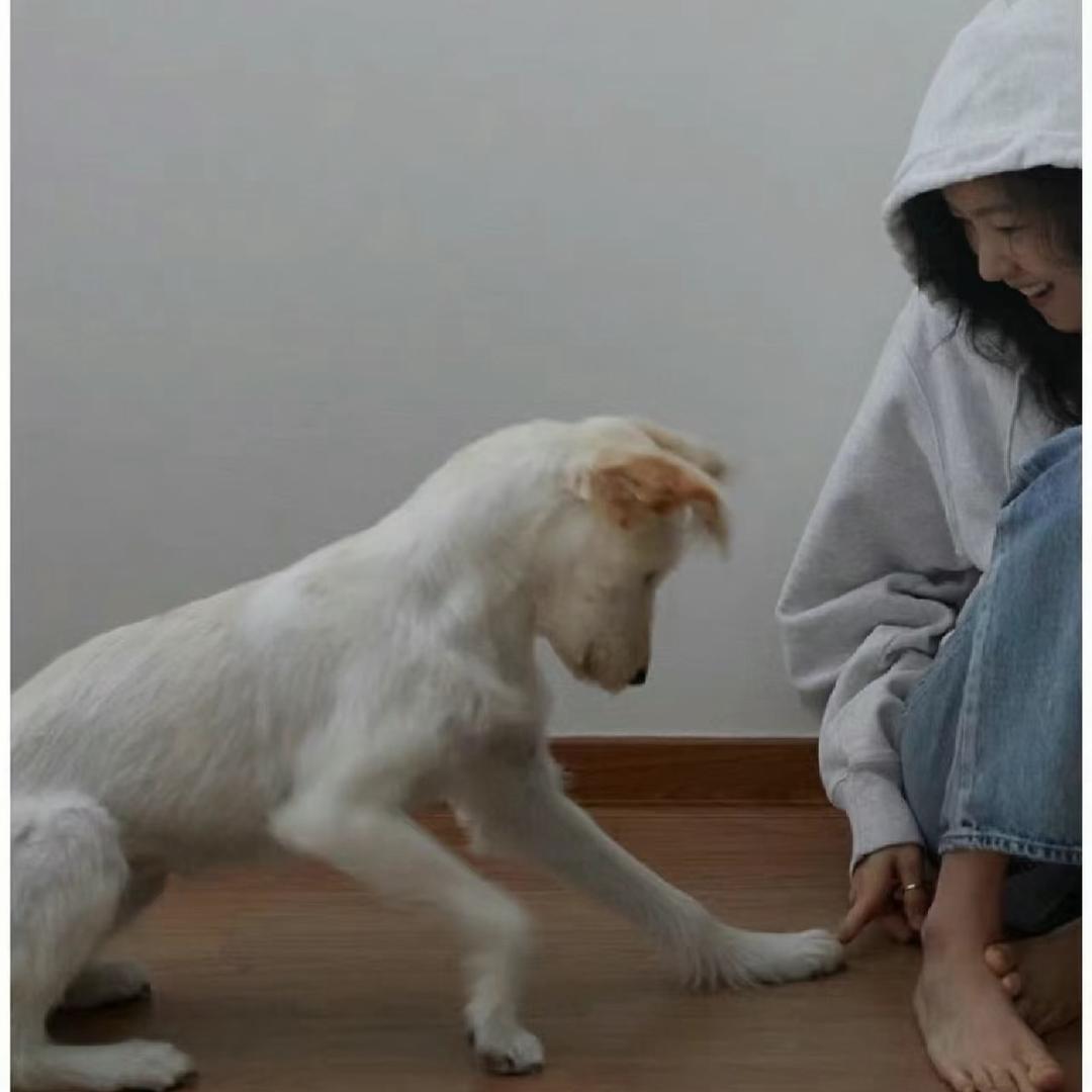 小照片