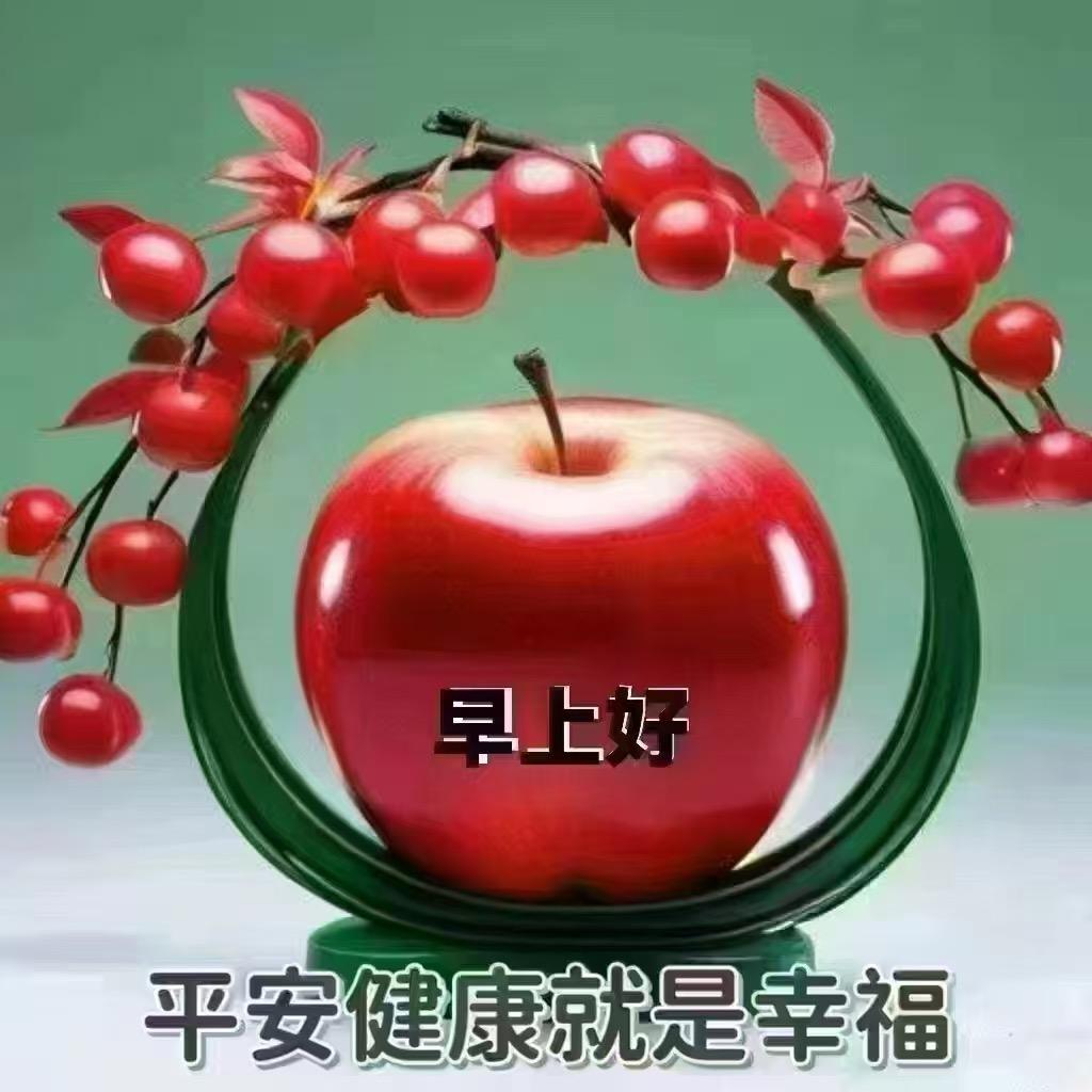 是沐沐呀@