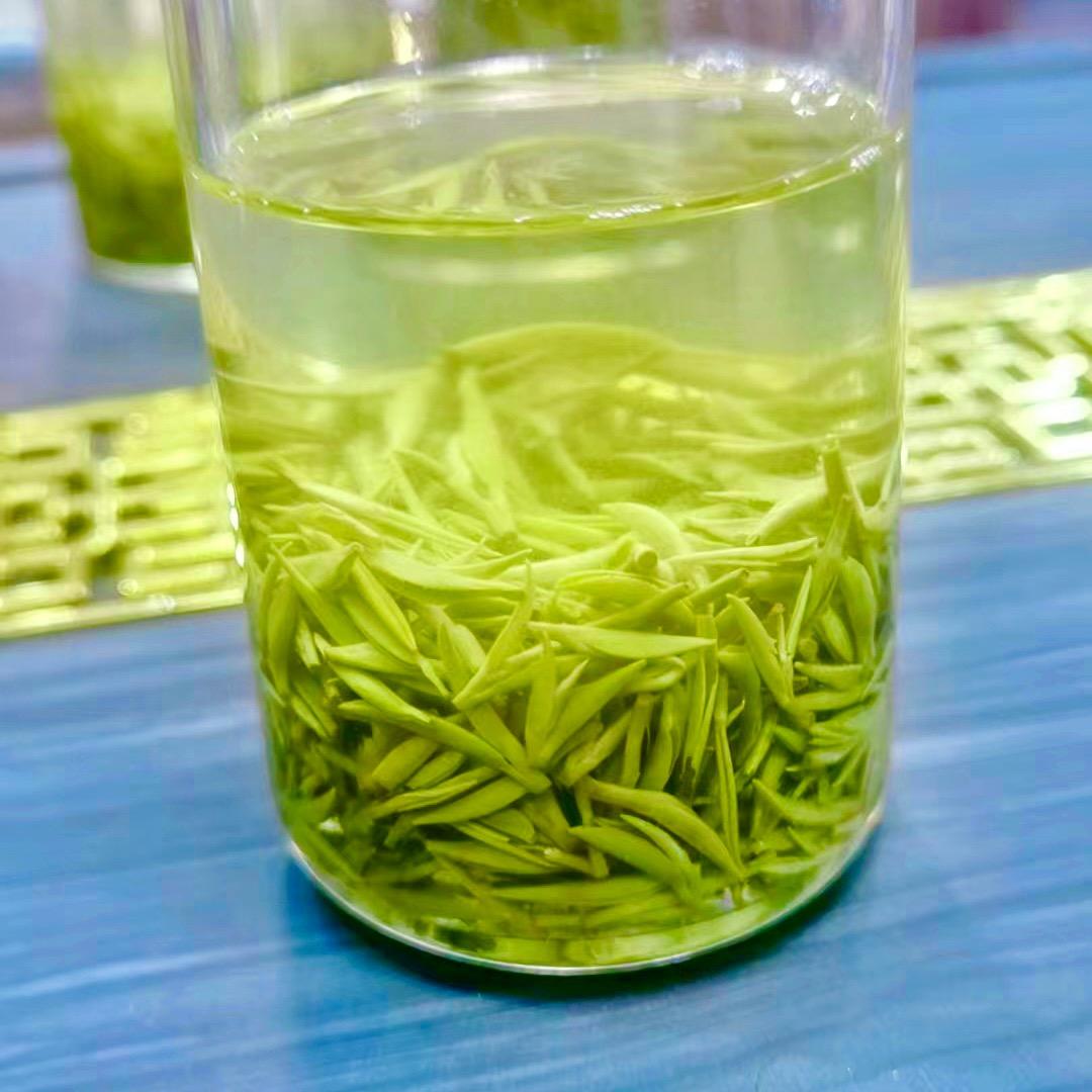 吴诚茶叶信阳毛尖